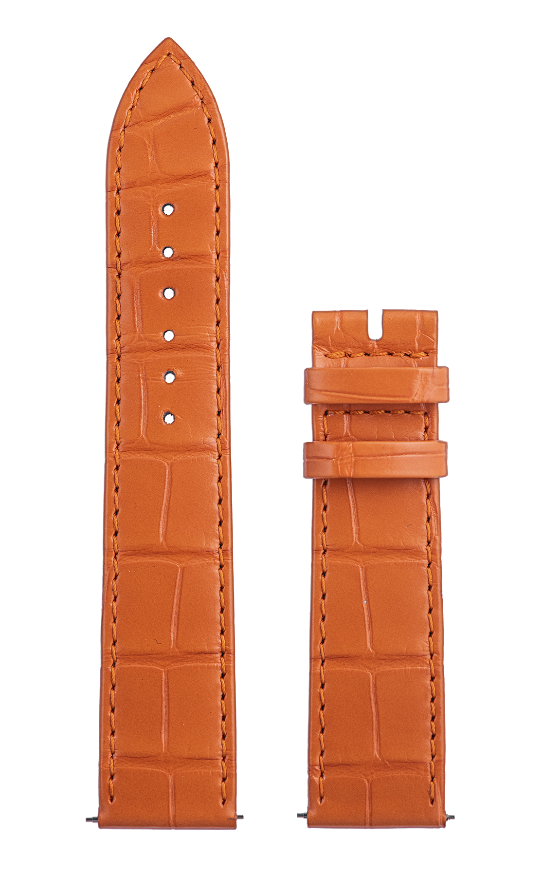 Piccadilly – Orange Alligator