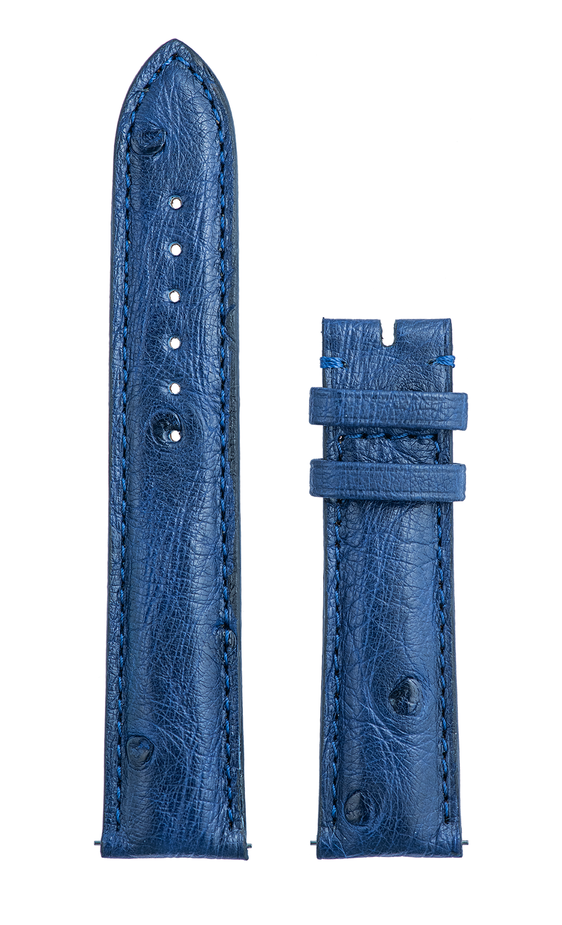 Piccadilly – Blue Ostrich