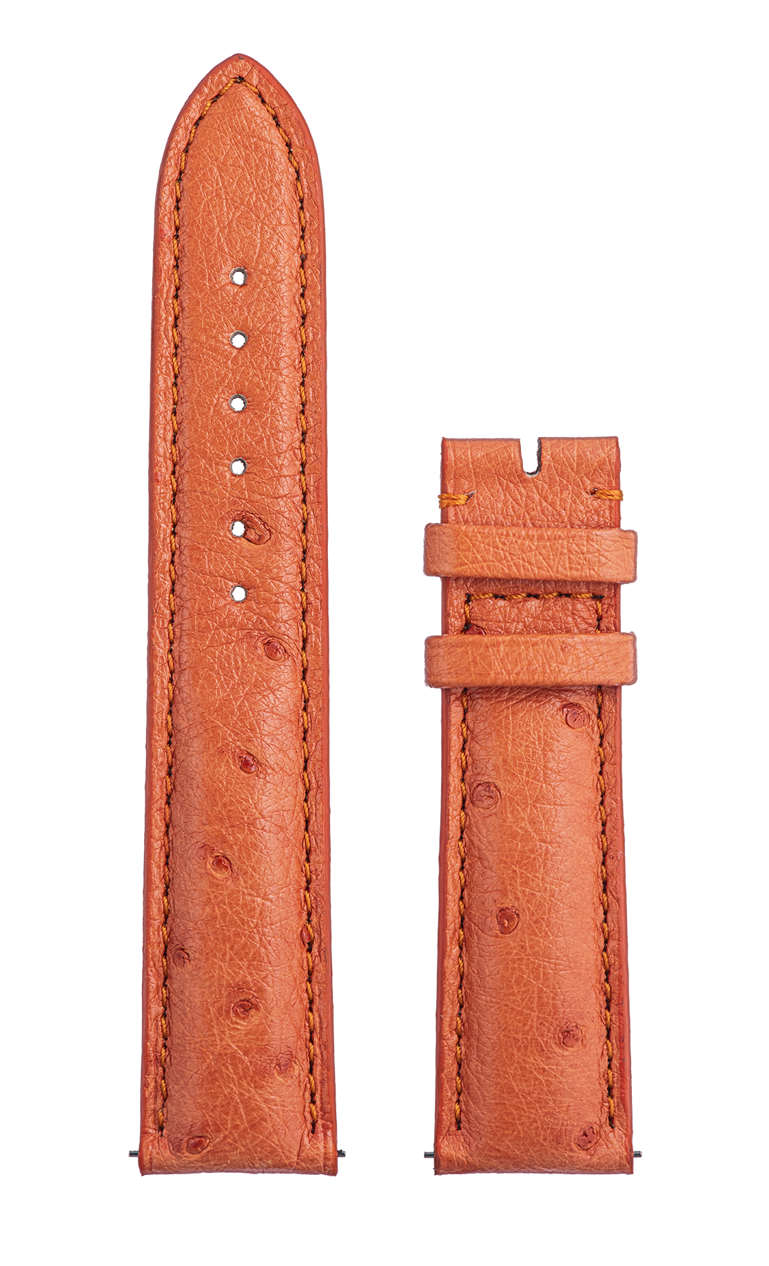 Piccadilly – Orange Ostrich