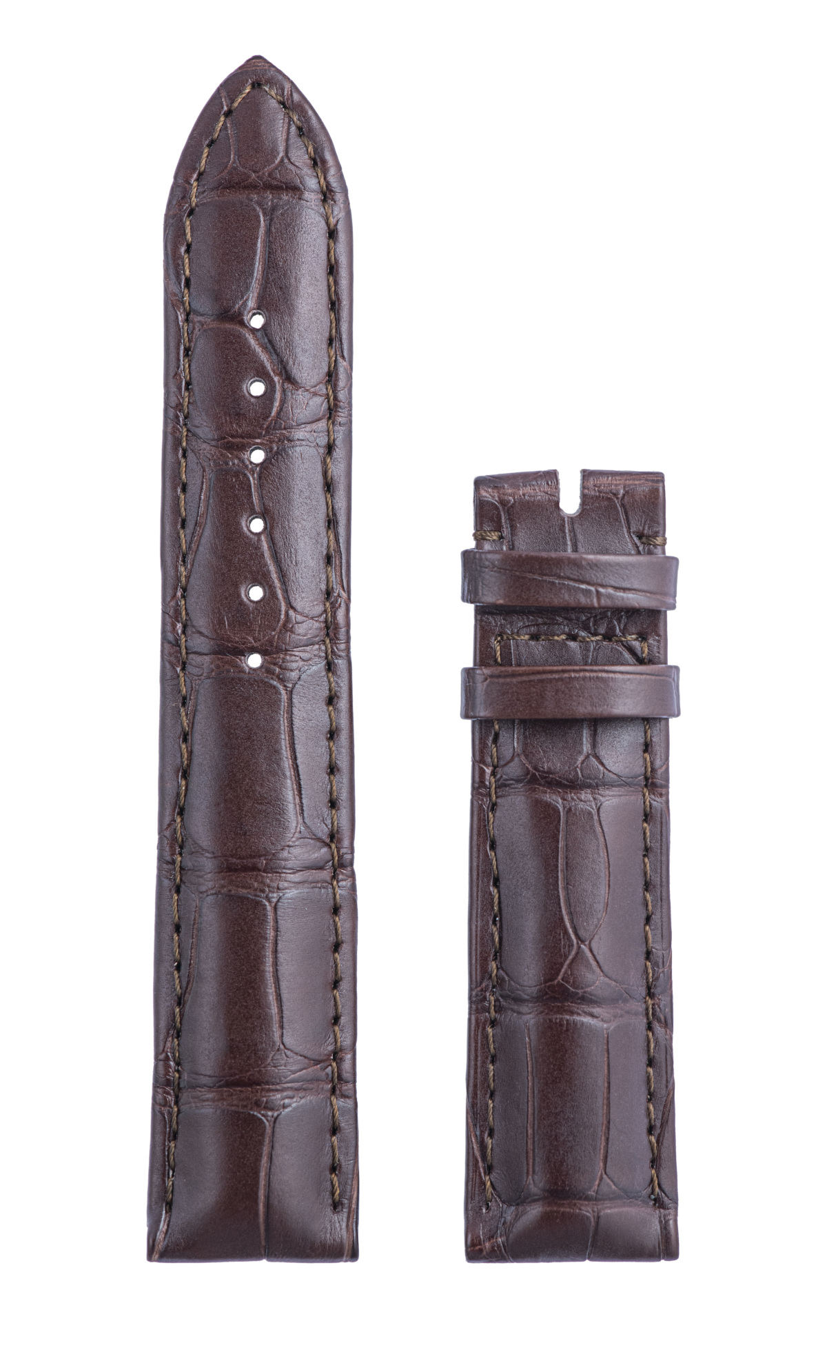 Dark Brown Alligator