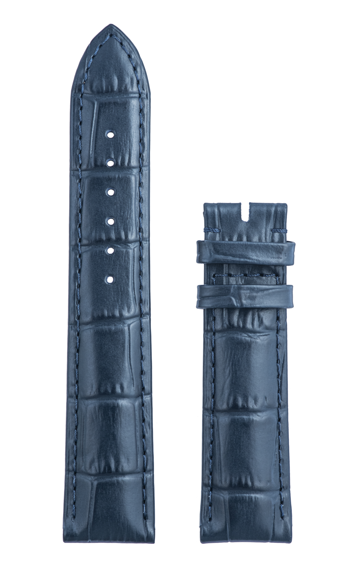 Dark Blue Alligator