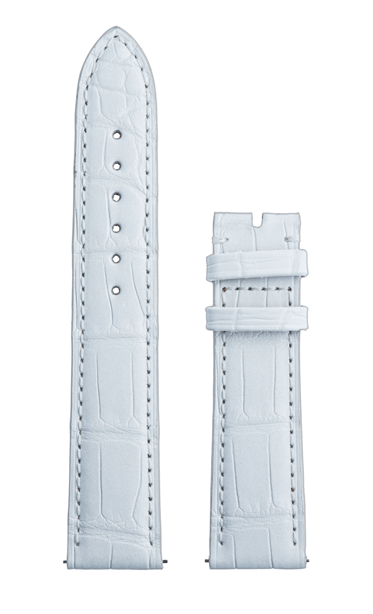 White Alligator