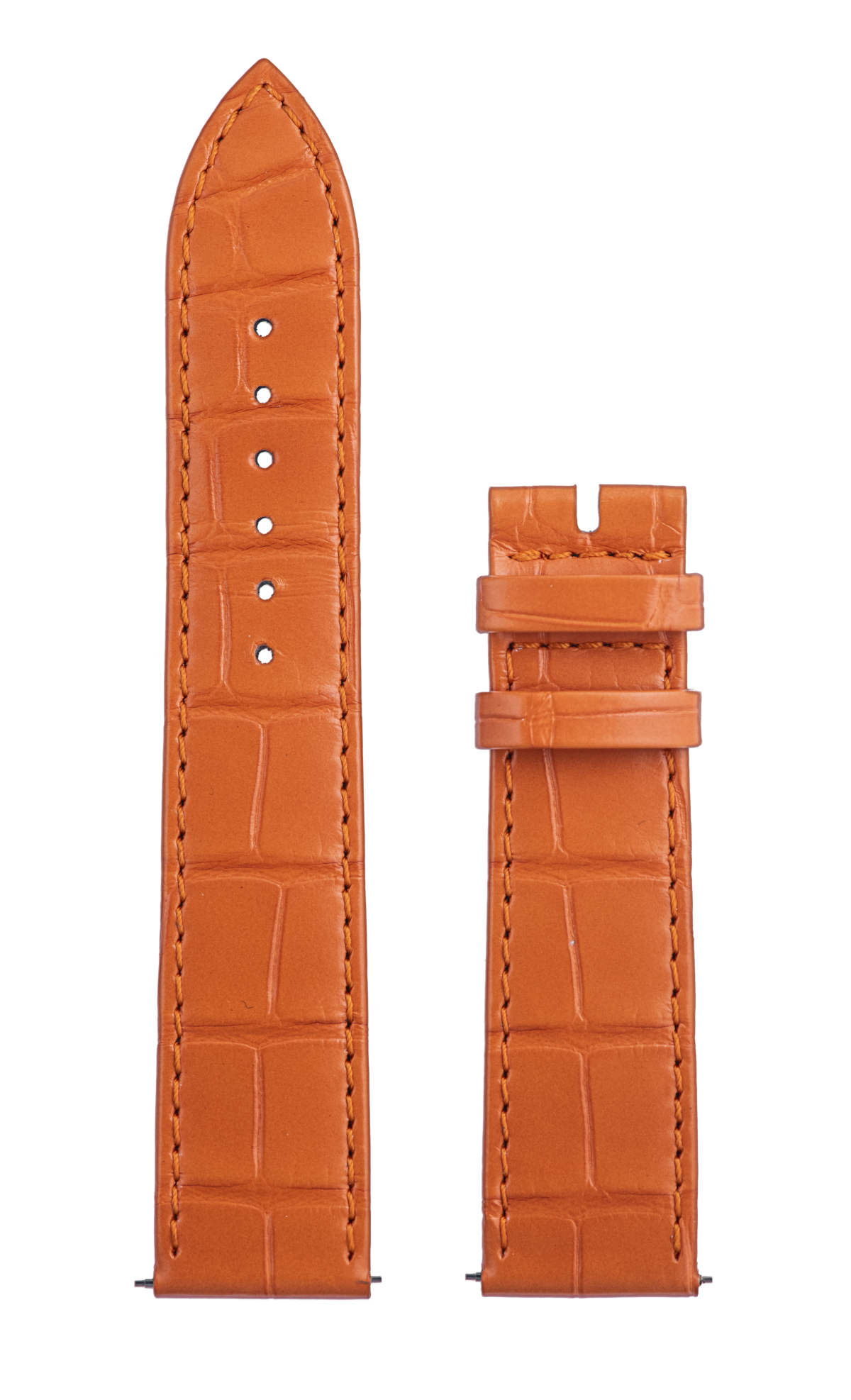 Orange Alligator