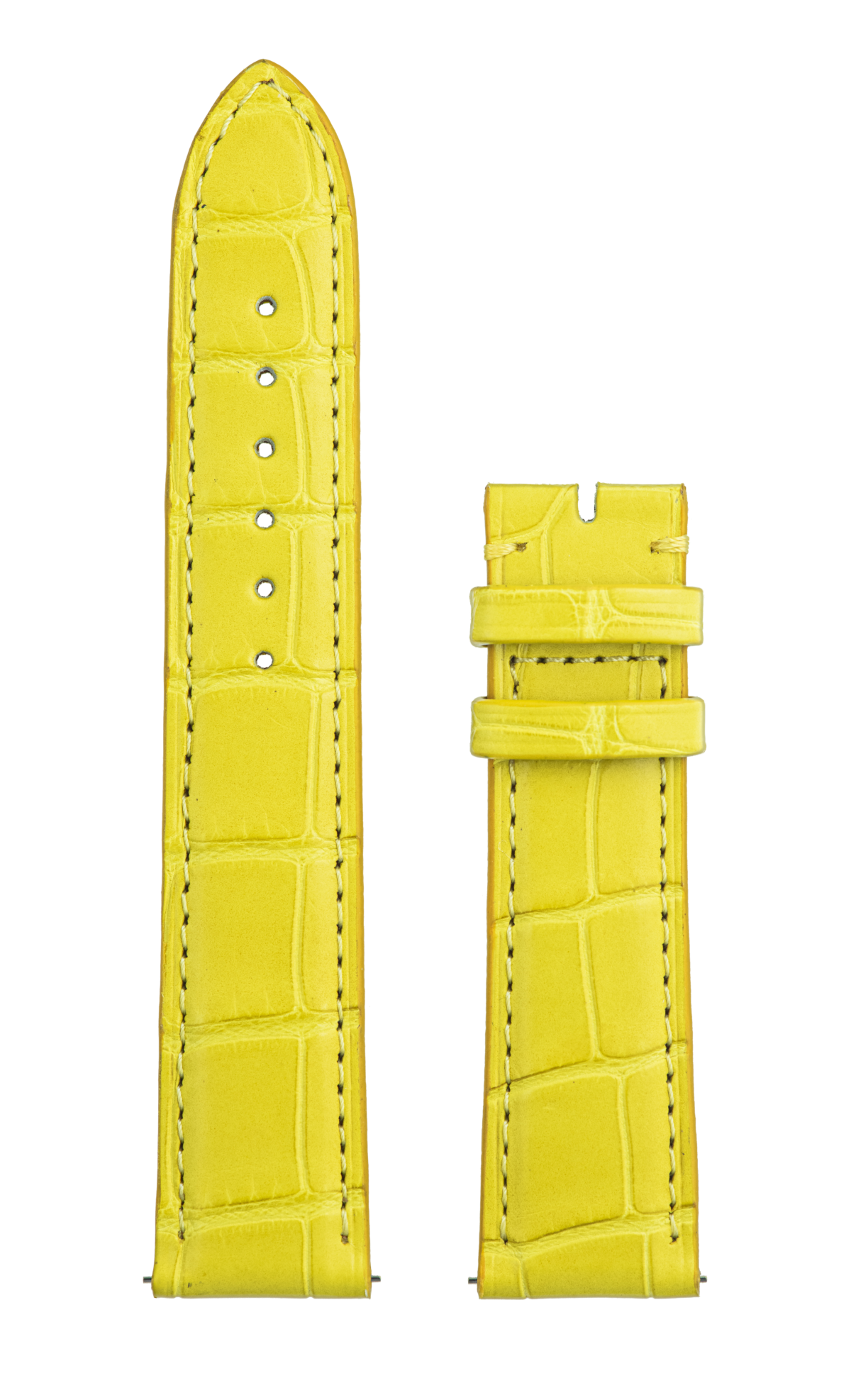 Yellow Alligator