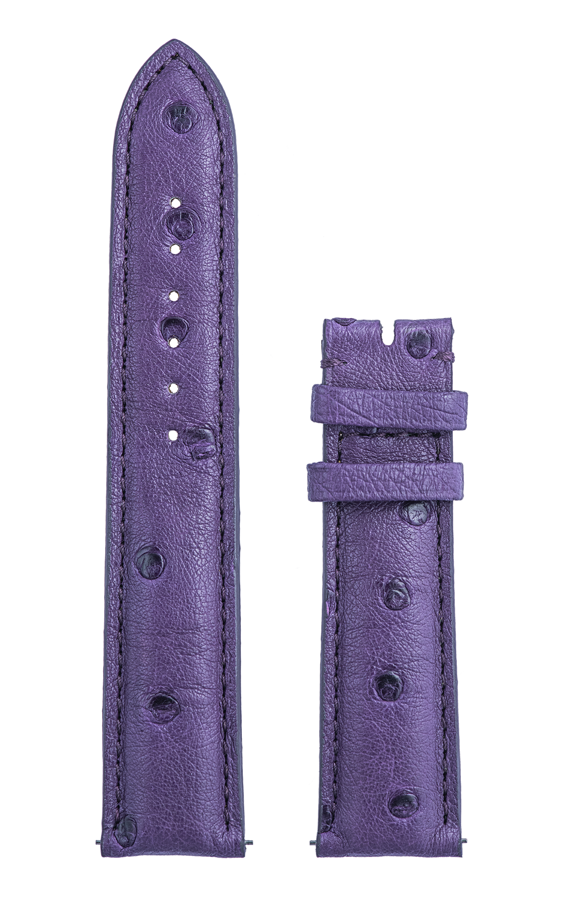 Purple Ostrich